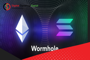 wormhole network